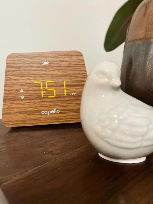 The Nest In 5 Points, Downtown, Walk To Everything Хънтсвил Екстериор снимка